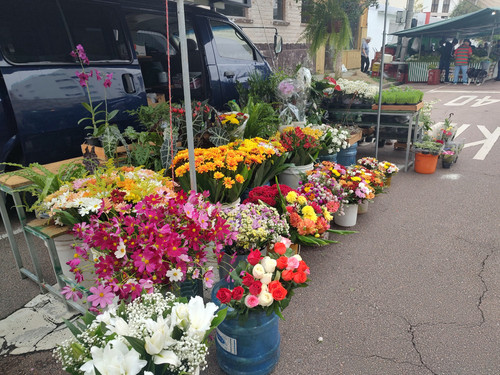 IMG 20240406 085950346 HDR.jpg