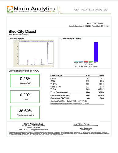BLUE CITY DIESEL.jpg