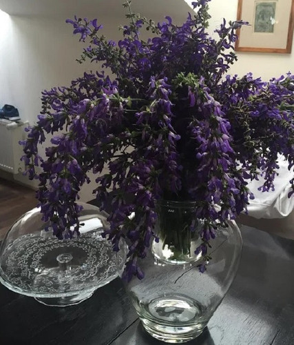 Mes fleurs partout dans ma maison.jpg