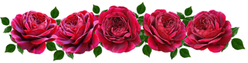 fleuri.png
