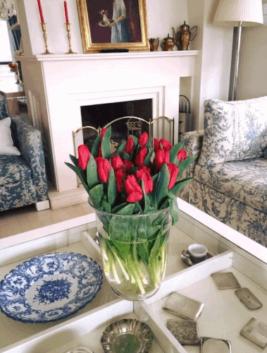 Mon chez moi.gif