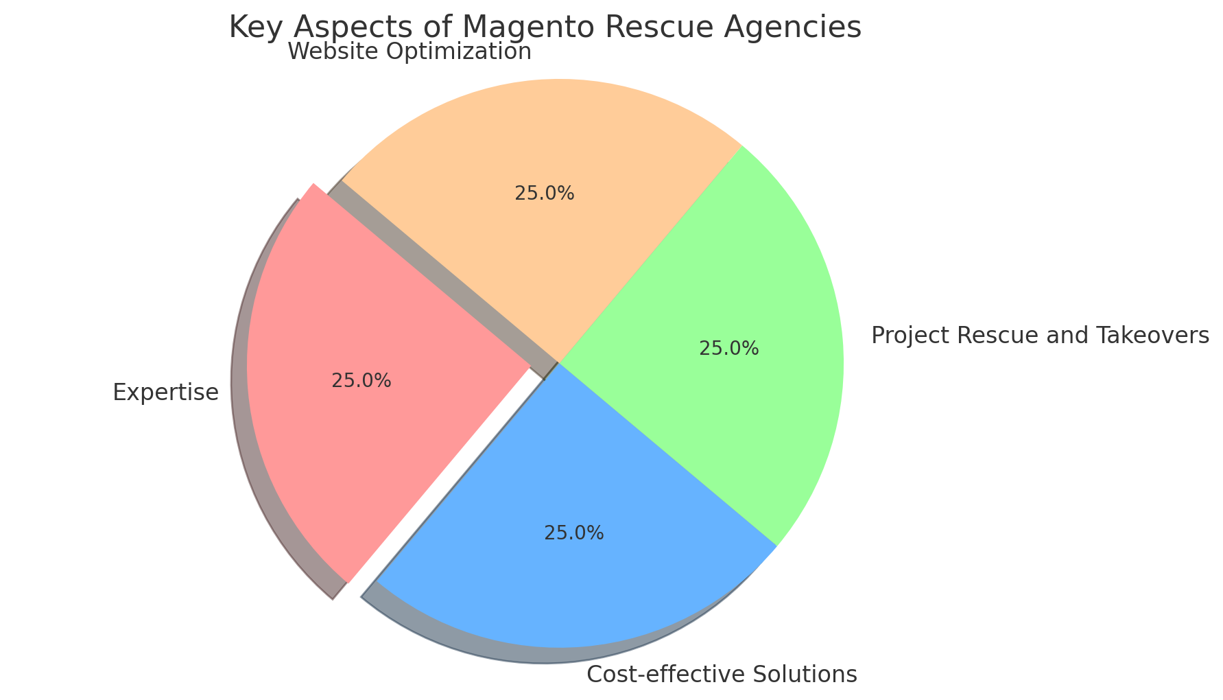 Challenges Addressed by Magento Rescue Agencies