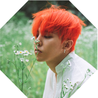 oie trim image (1).png