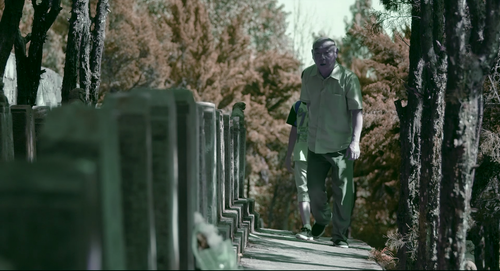 That.Summer.2017.2160p.WEB DL.AAC.H265.DV MISS.mkv 20240202 231829.026.png