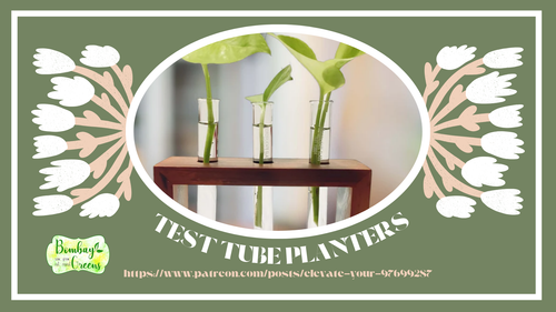 Test Tube Planters;.png