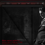 Bay Radyo Tema 143 1 liebefee13