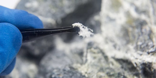 Mold Testing Freehold NJ.jpg