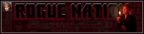 FlameLady Banner.jpg