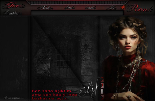 Bayan Radyo Tema 290 ELIF