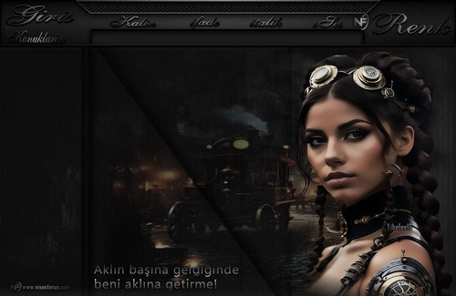 Bayan Radyo Tema 291 liebefee13