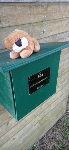 IMG 20240130 113413.jpg