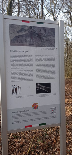 IMG 20240130 111851.jpg