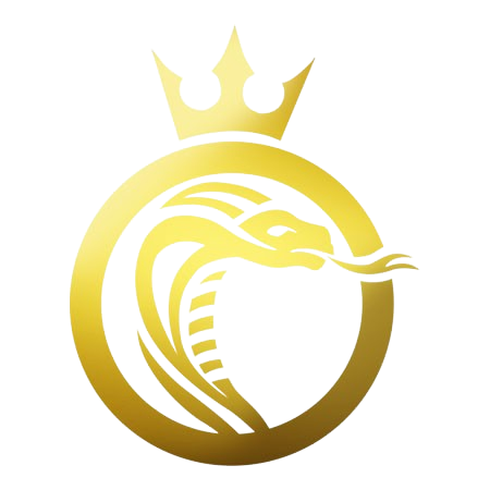 fav removebg preview.png