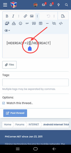 IMG 20240203 003429.jpg