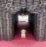 这不得要十几万.gif