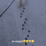 走近科学拍两集.gif