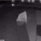 走近科学 这不得做个十几期.gif