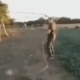 前戏太长，女朋友等不及了.gif