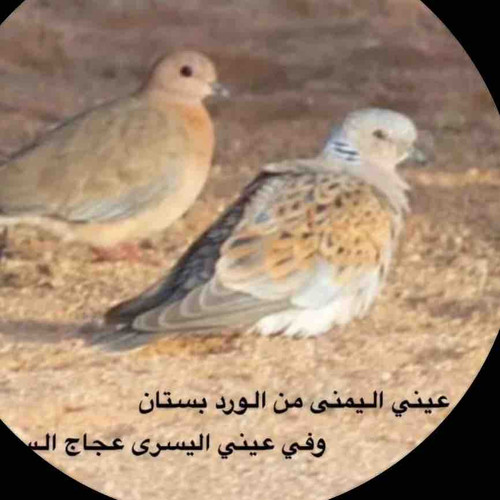 E1A0EE3B 09E0 4555 B6DC AB781654B52F.jpg