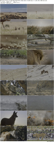 BBC.Planet.Earth.III.2023.EP03.UHD.BluRay.2160p.2Audio.TrueHD.Atmos.7.1.x265.10bit.HDR beAst preview.jpg