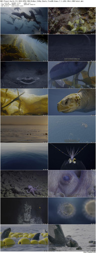 BBC.Planet.Earth.III.2023.EP02.UHD.BluRay.2160p.2Audio.TrueHD.Atmos.7.1.x265.10bit.HDR beAst preview.jpg