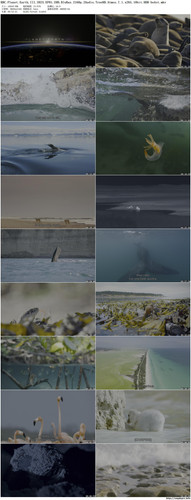 BBC.Planet.Earth.III.2023.EP01.UHD.BluRay.2160p.2Audio.TrueHD.Atmos.7.1.x265.10bit.HDR beAst preview.jpg