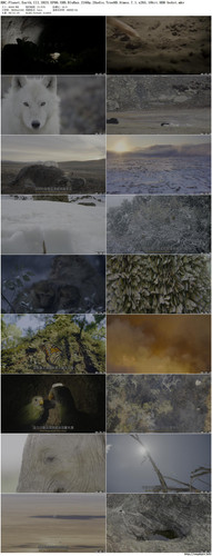 BBC.Planet.Earth.III.2023.EP06.UHD.BluRay.2160p.2Audio.TrueHD.Atmos.7.1.x265.10bit.HDR beAst preview.jpg