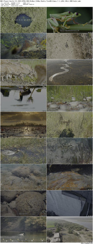 BBC.Planet.Earth.III.2023.EP04.UHD.BluRay.2160p.2Audio.TrueHD.Atmos.7.1.x265.10bit.HDR beAst preview.jpg
