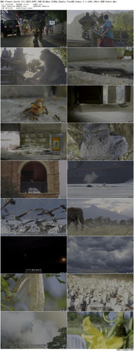 BBC.Planet.Earth.III.2023.EP07.UHD.BluRay.2160p.2Audio.TrueHD.Atmos.7.1.x265.10bit.HDR beAst preview.jpg