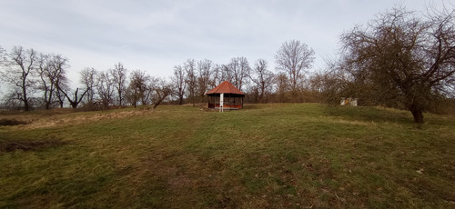 IMG 20240130 104338.jpg