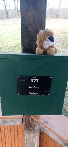 IMG 20240130 104708.jpg