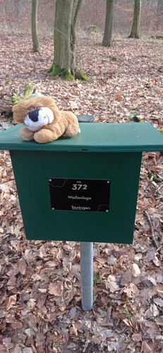 IMG 20240130 110028.jpg