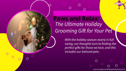 Paws and Relax The Ultimate Holiday Grooming Gift for Your Pet.jpg