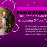 Paws and Relax The Ultimate Holiday Grooming Gift for Your Pet