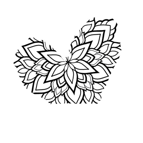 Picsart 24 01 31 17 20 06 277.jpg