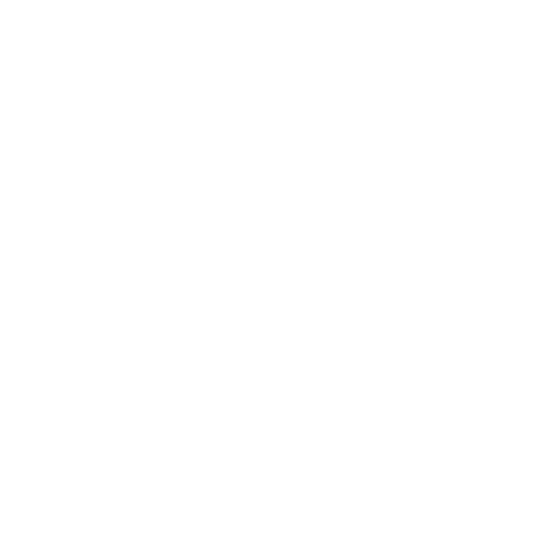 BIS FHD²