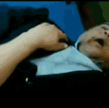 2527878iCD197E2ADAAE92FB.gif