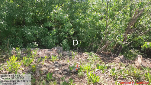 IMG 0727.jpg