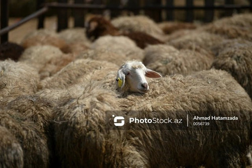 kGQh89UXn7mnDuLSAL83 ZHH7Dg0JvkE Q8GXGmxqWohbGVRwM8K4t1WiiSJJDQ 97cI 6N1wzoU1nu2aNzweAqedmDpw1RWT Wi.jpg