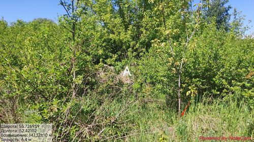 IMG 0731.jpg