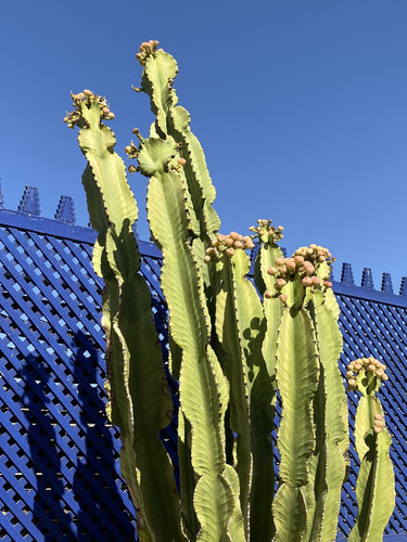 GPEK qqXcAI3Z2 ?format=jpg.jpg