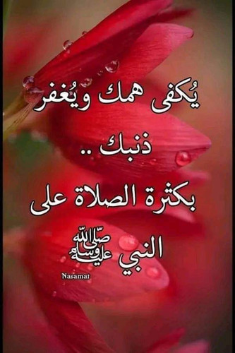 IMG 20240602 WA0021.jpg