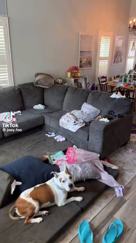 8g XGfvq2YSF33yf.jpg