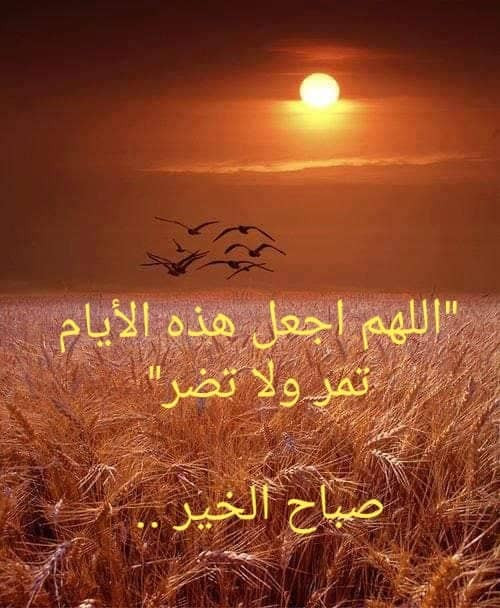 IMG 20240602 WA0022.jpg