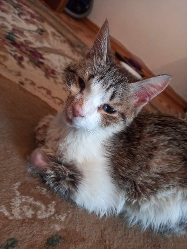 444480290 1192487285256393 7962808873646623030 n.jpg?stp=dst jpg p526x296& nc cat=107&ccb=1 7& nc si.jpg