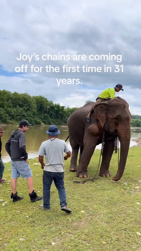 Y6 WmnQ a5gHsa0q.jpg