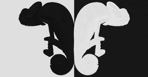 4032117780605314004?url=https%3A%2F%2Fwww.achgut.com%2Fimages%2Farchiv%2F 568w%2Fchameleon Kopie.jpg.jpg