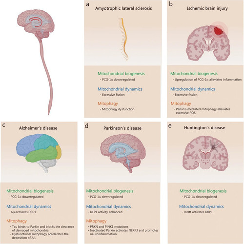 GPEZ1NAXQAA 7cd?format=jpg.jpg