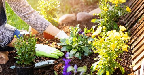 13756246587048231802?url=https%3A%2F%2Fresize.elle.fr%2Foriginal%2Fvar%2Fplain site%2Fstorage%2Fimag.jpg