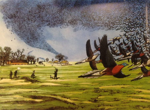 GPEbdguWcAAp vN?format=jpg.jpg